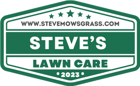 Steve's lawn outlet mowing service